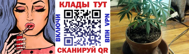 Виды наркотиков купить Шенкурск COCAIN  Мефедрон  Гашиш  APVP  Экстази  Марихуана 