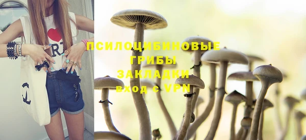 дурь Абинск