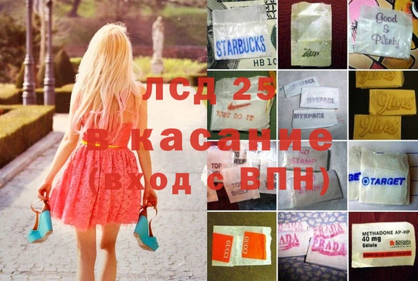 стаф Алексин