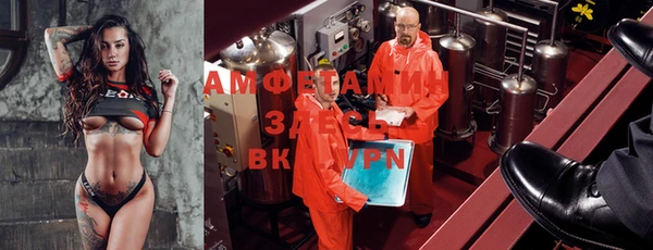 стаф Алексин