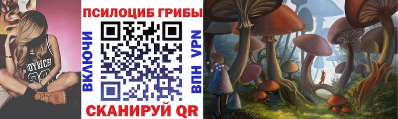 сколько стоит Шенкурск omg онион Псилоцибиновые грибы прущие грибы